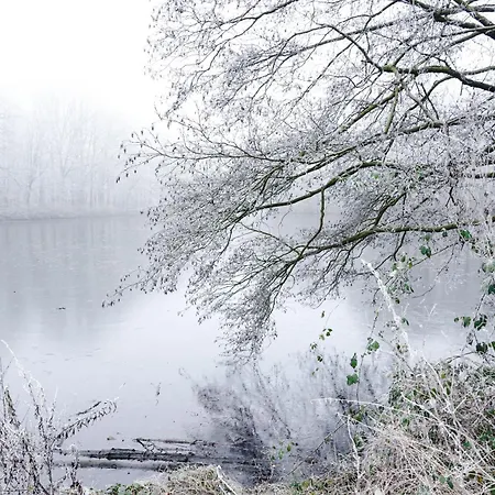 Διαμέρισμα Kehrein Am Stadtwald 60qm Mit Garten, Balkon Und Parkplatz