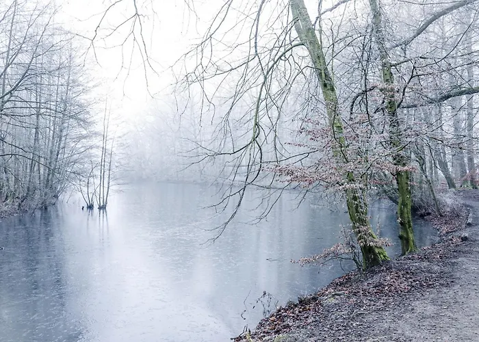 Kehrein Am Stadtwald 60qm Mit Garten, Balkon Und Parkplatz Krefeld