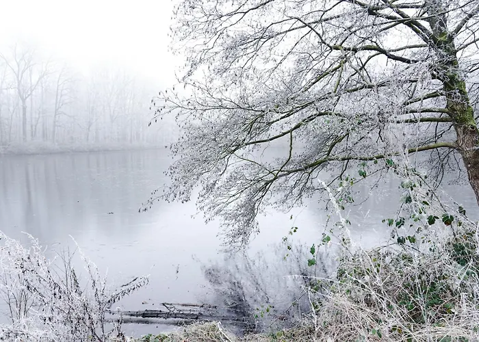 Appartement Kehrein Am Stadtwald 60qm Mit Garten, Balkon Und Parkplatz